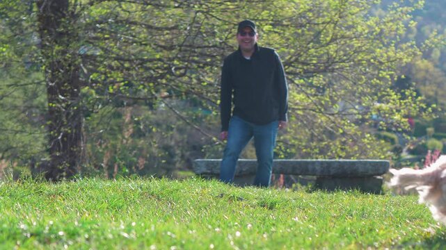 Man throws a ball to a small dog playing on grass in a park in slow motion.