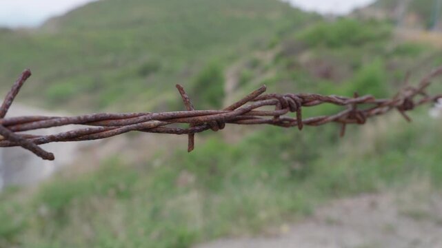 Rusty Barbed Wire Fence Close Up, Abandoned Border Demarcation in Rural Landscape
