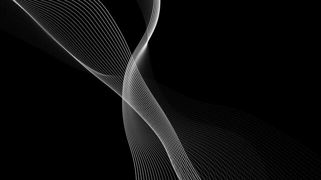 Abstract black and white background featuring a futuristic vector design with smooth flowing wave lines and a light smoke texture pattern for a sleek wallpaper illustration