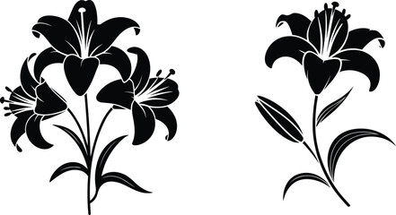 Obraz premium Black lily flower silhouette vector illustration isolated on white background elegant floral design for logo tattoo stencil decoration artwork modern