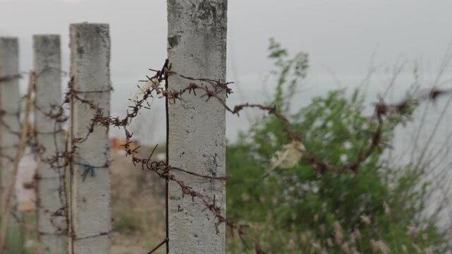 Rusty barbed wire fence on concrete posts marking a restricted border zone