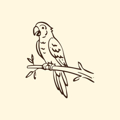 Fototapeta premium Parrot on branch hand drawn vector line art illustration. Tropical bird isolated. Perfect for nature design, wildlife illustration, logo, and decor.
