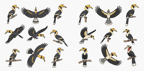 Great hornbill bird in various poses, cartoon vector illustration set. © MuammarAuliyan