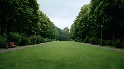 Fototapeta premium A peaceful tree lined avenue forming a deep green corridor through a lush expansive park landscape