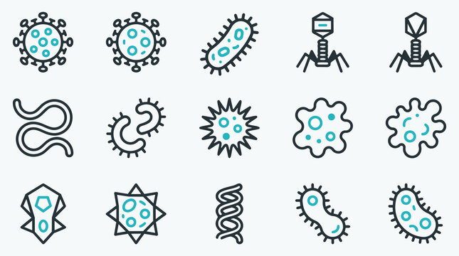 Set of 15 Microorganism and Virus Line Icons in Teal and Grey