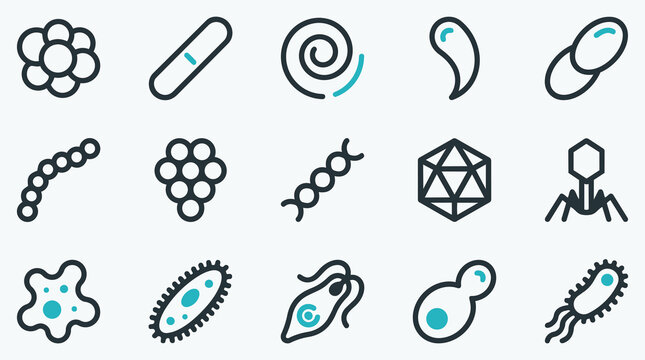 Diverse set of microorganism icons including bacteria viruses and bacteriophages