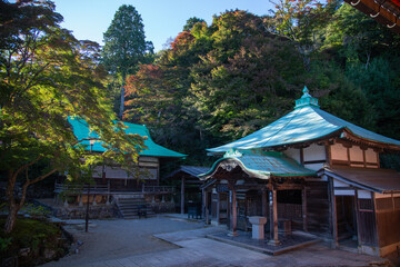Fototapeta premium Katsuoji Temple / The Temple of Winning Luck in Kyoto, Japan 