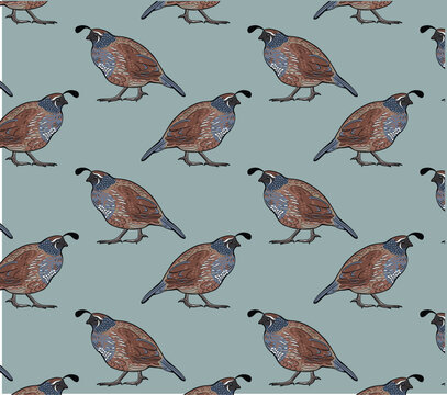 Quail bird repeat pattern design in vector, vintage hunting seamless wallpaper for den or man cave