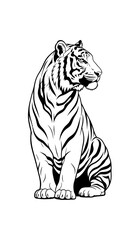 Obraz premium White tiger vector illustration showing a powerful striped wild feline in a clean artistic design