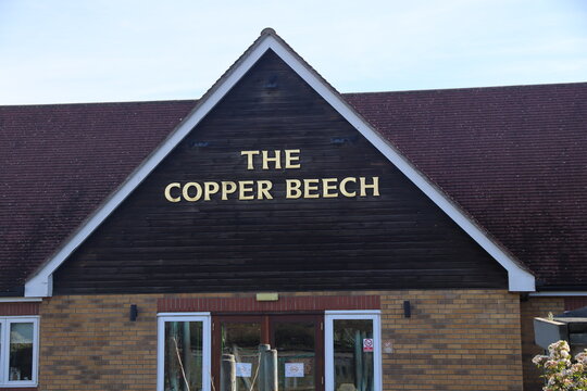 Norwich, England, April 4 2026: Editorial photo. Warmly lit pub exterior with golden lettering 'the copper beech' invites visitors to relax and enjoy