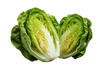 Obraz premium Fresh napa or chinese cabbage head cut in half showing crisp green leaves and white interior on transparent background