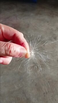 Pappus is Floating in House