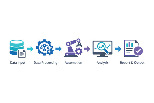 The workflow of data handling from input to final report generation Vector