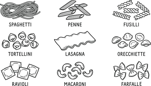 A hand drawn collection of various italian pasta shapes with labels perfect for culinary arts and food illustration