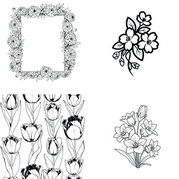 Set of four black and white vector floral elements: a rectangular frame, cherry blossoms sprig, tuli