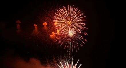 Obraz premium Festive Fireworks Display Lighting Up the Dark Night Sky