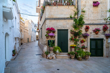 Obraz premium The old city of Monopoli Town in Italy