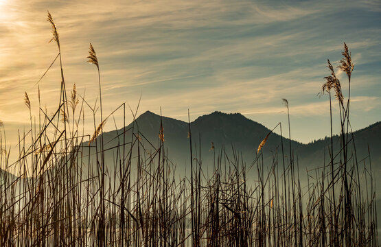 famous lake schliersee - bavaria