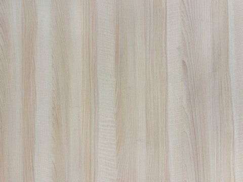 Close up of white beige solid wood texture with natural rustic veins. Seamless timber solid wood background texture