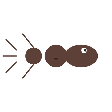 The illustration depicts an insect with antennae and one eye in a simplistic style.