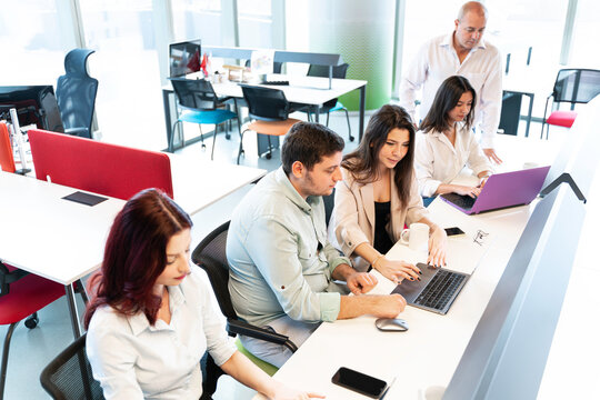 colleagues collaborate on projects using laptops at a long desk in a bright, office space with large windows. They work in a meeting or brainstorming.
