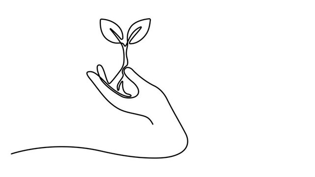 Hands holding leaves branch continuous line drawing animated video. Plant in human arm one line art. Full length single line animation. 4k video