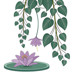 A vibrant illustration depicts trailing philodendron vines with heart shaped leaves and two blooming purple passionflowers high quality professional detailed © sabrina1122