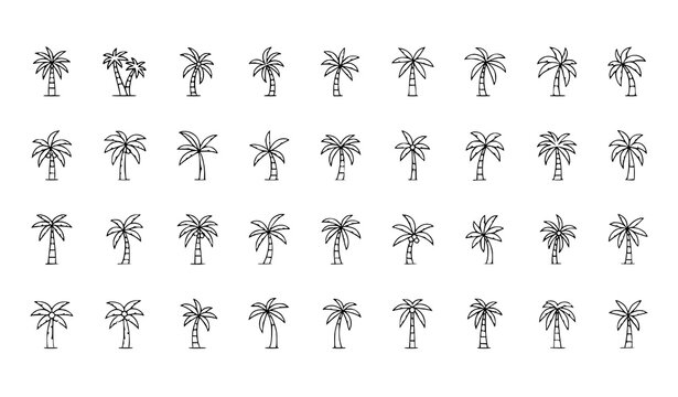 A collection of minimalist palm tree icons in a simple line art style