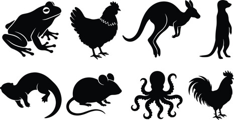 Collection of diverse animal silhouettes featuring frog chicken kangaroo meerkat lizard mouse octopus and rooster for nature wildlife graphic design elements © jesmin