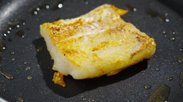 Frying white fish fillets. Frying hake fillets in a hot pan Sophisticated panfried fish drizzled with shimmering oil and crispy exterior. Exquisitely cooked fish fillet enveloped