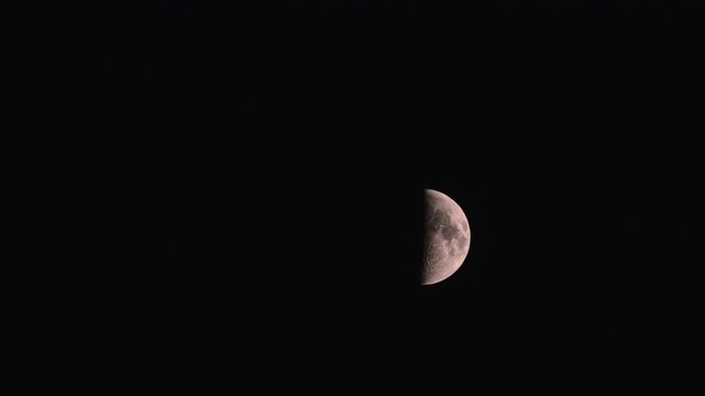 time  lapse/cinemagraph, 