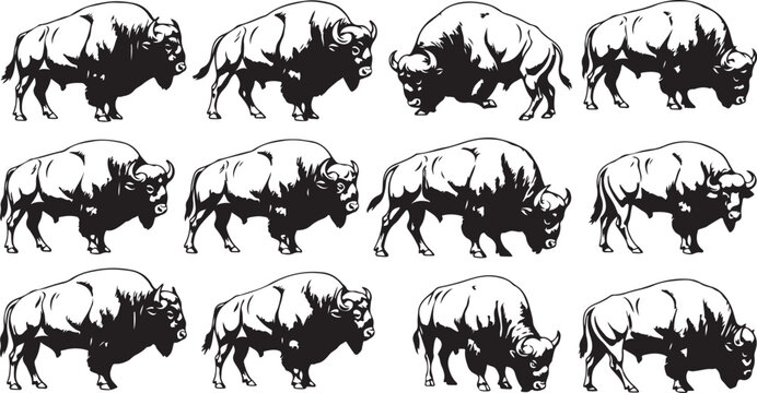 Black and white bison silhouettes walking in various directions