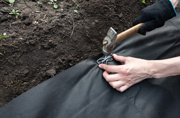 A person wearing boots and gloves is kneeling on the ground on a flower bed installing black weed fabric © Svetlana Verbitskaya