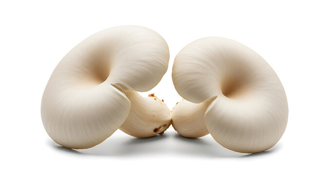 Two lima beans on a white surface close up view