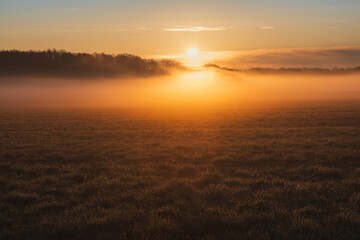 Obraz premium Meadow with fog at morning sunrise. Agriculture, calm Czech landscape background