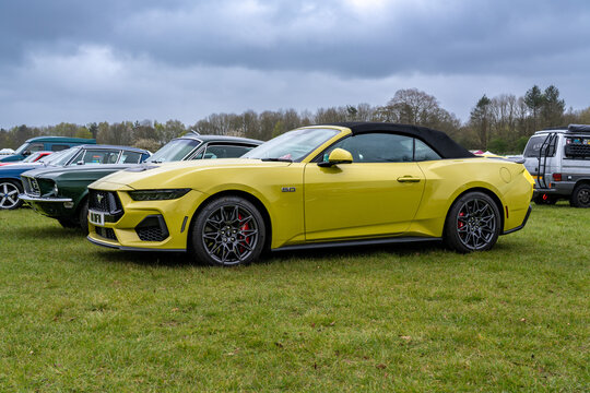 Ford Mustang in Olive Green