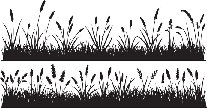 Black Silhouette of Cattails and Grasses on White Background