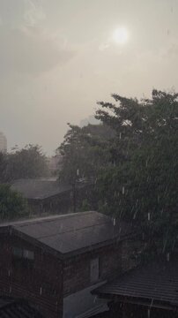 Moody Rain Falling on Rustic Wooden Houses and Large Tree with Hazy Visibility