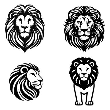 lion head vector illustration