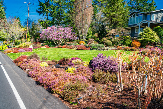 Front Yard Garden 5