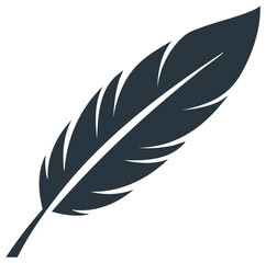 Obraz premium Stylized feather illustration, dark color, isolated on white background