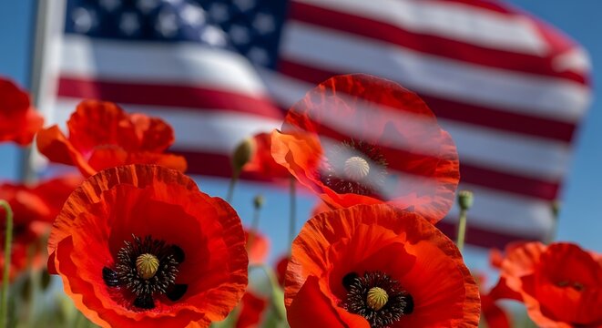 Memorial day in usa vibrant red poppies with american flag background remembrance and honor