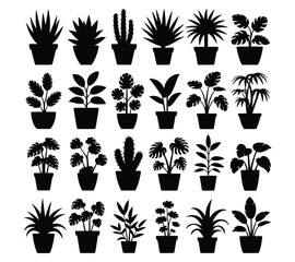 Collection of various potted tropical plants in a black silhouette © MDHASAN