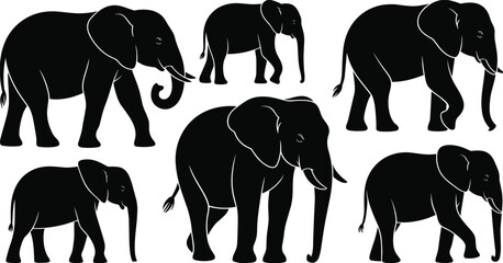 Black elephant silhouettes set with walking standing and trunk up poses, African safari wildlife collection, cad drawing flat vector illustration, nature animals © Rajbala