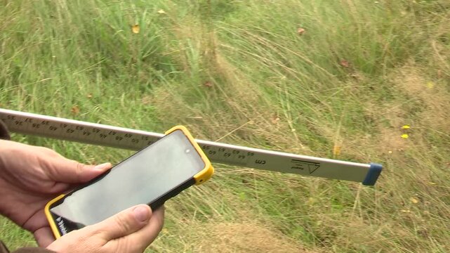 Person measuring land with a smartphone and measuring tape in a grassy field, showcasing precise measurement techniques outdoors