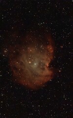 Mgławica NGC 2175  © Asnyko