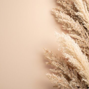 a bunch of dry grass on the wall, loosely bundled and hanging, with rough strands casting soft shadows on the textured surface