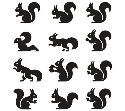 Multiple squirrel silhouettes in various poses against a white background silhouette