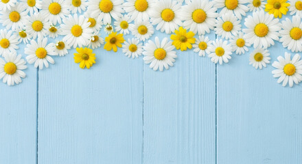 Obraz premium Daisies on light blue wooden background with white and yellow flowers