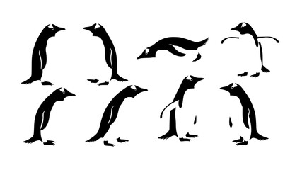 Fototapeta premium Gentoo penguin vector collection Antarctic wildlife birds in different poses flat illustration set